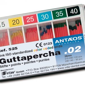 Endodontija